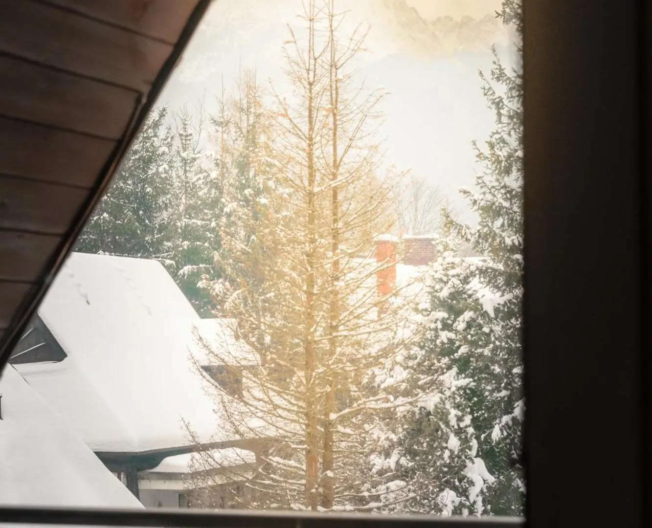 Homestay Pokoje Banas Zakopane